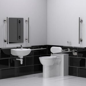 Back to Wall Doc M Toilet pack with stainless steel concealed fixing luxury grab rails crop