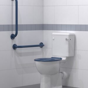 Done Close coupled ambulant Doc M toilet pack with steel exposed fixing grab rails AMBCC crop 1