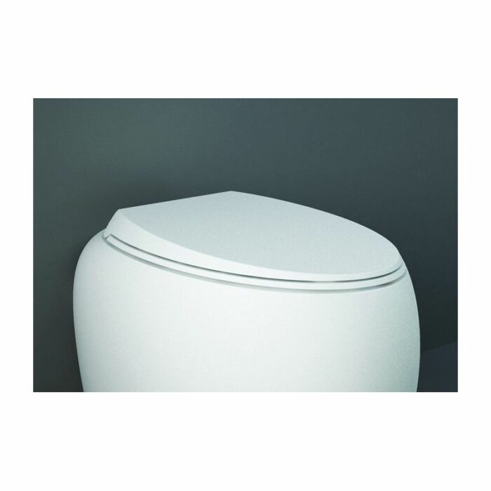 RAK Ceramics Cloud Toilet Seat CLOSC3901500