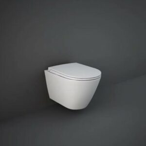 RAK Ceramics Feeling Toilet Seat and Cover FEESEAT500